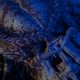 Illustration for article titled iPredator 2/i Is the Most Enjoyable iPredator/i Movie, Period